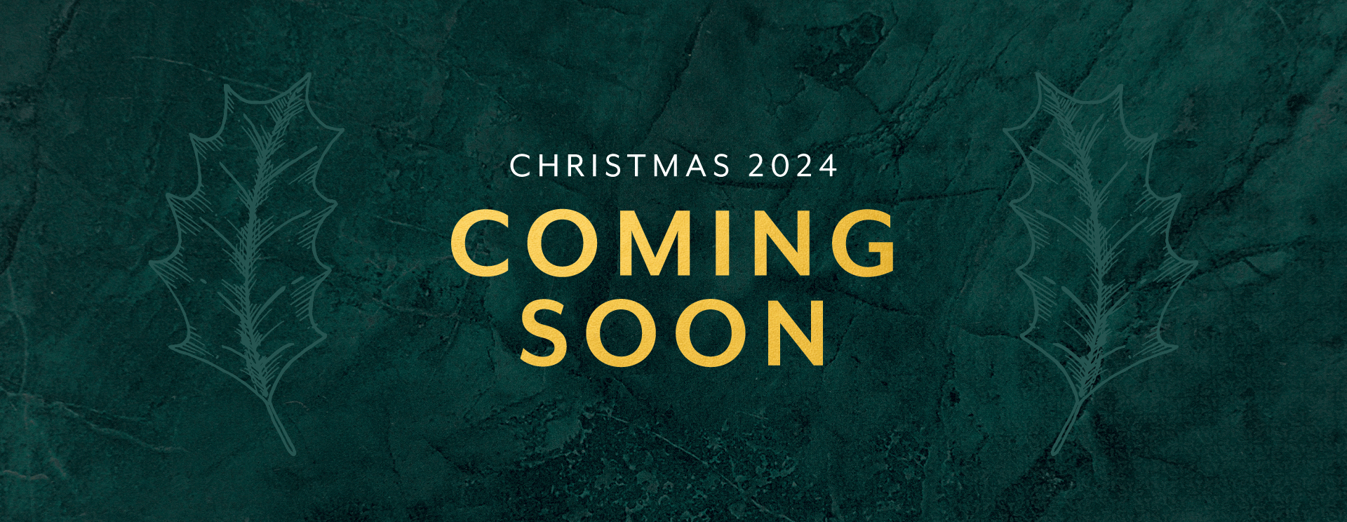 Christmas 2024 at Cole Green